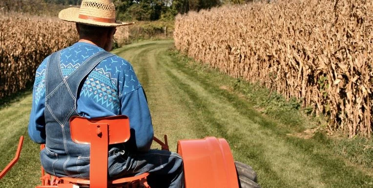 Τι προβλέπει εγκύκλιος της ΑΑΔΕ για τη φορολογία των αγροτών -Πότε κερδίζουν έκπτωση φόρου έως 50%